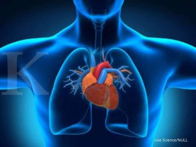 Hobi Begadang Rentan Picu Diabetes dan Penyakit Jantung