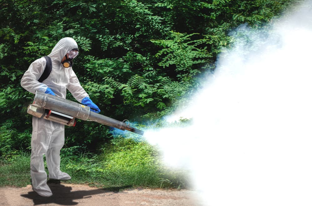 Sequis Dorong Masyarakat Lakukan Langkah Preventif DBD