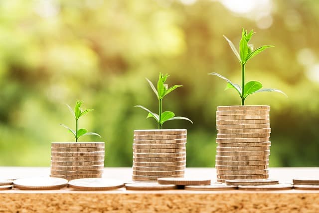 Ibu Rumah Tangga Bisa Berinvestasi, Ini Jenis Investasinya